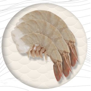 Frozen Shrimps HLSO