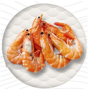 Frozen Shrimps COOKED