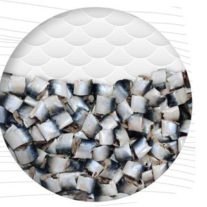 Frozen Sardine STEAK