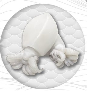 Frozen Cuttle Fish WHOLE CLEANED