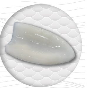 Frozen Cuttle Fish FILLET