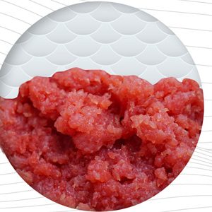 Frozen Treated Tuna GROUND MEAT